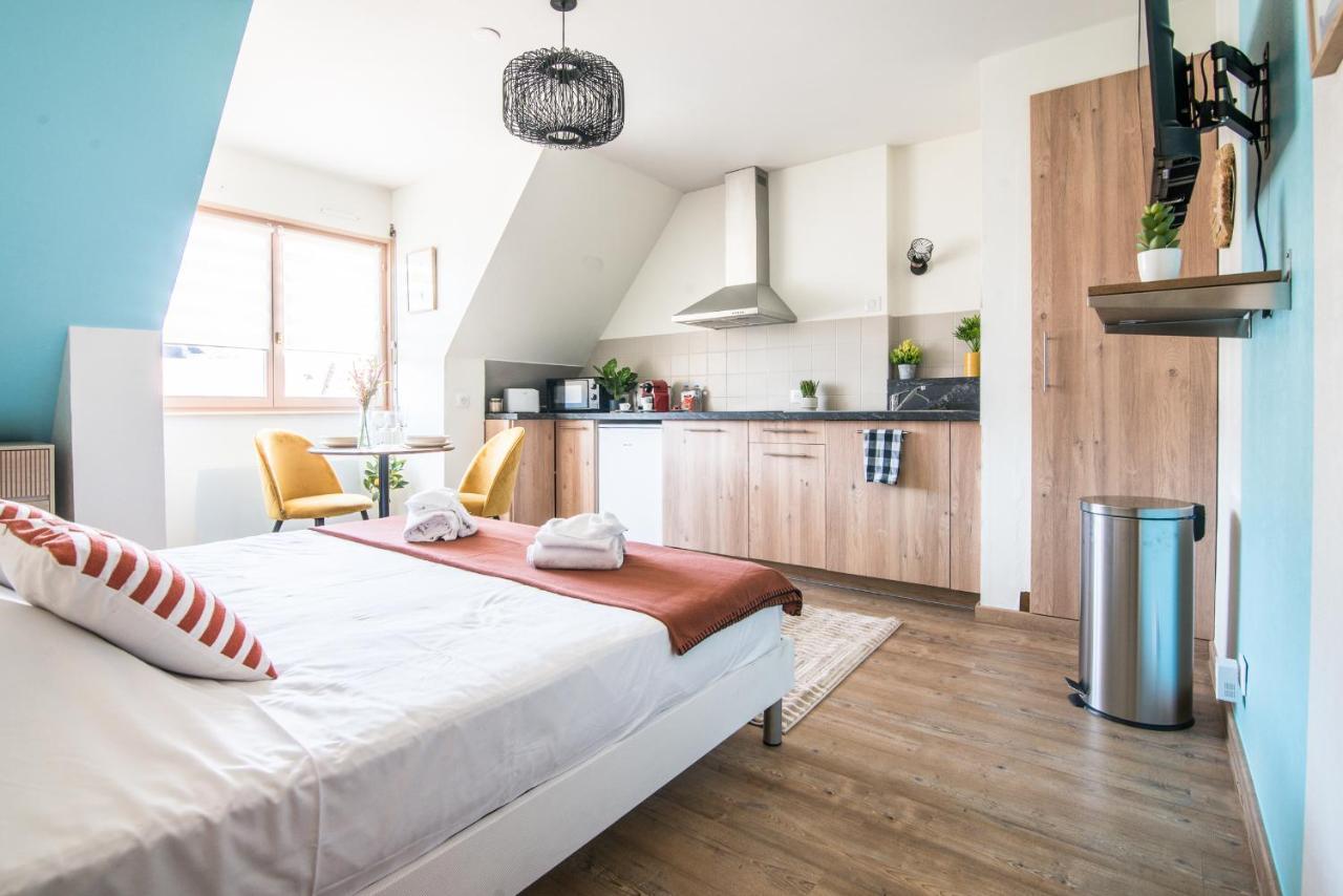 Appartement Lumineux - L'Oasis - Parking Prive à Strasbourg Extérieur photo